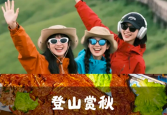 专业拓展训练、周边徒步爬山、团建拓展